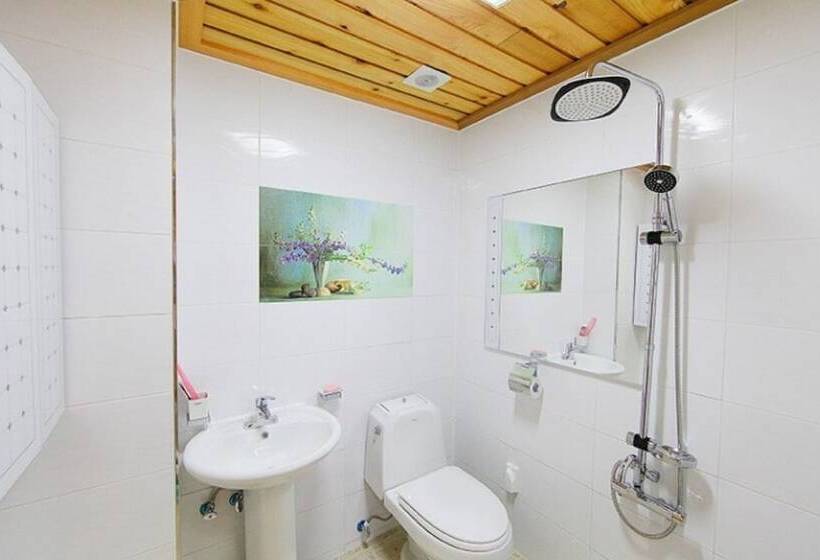 Boryeong Dalbitjeongwon Pension