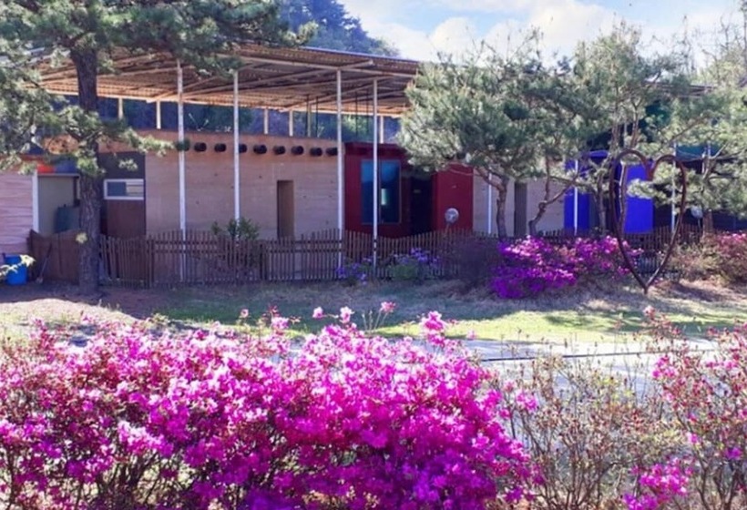 Cheorwon Beulbee Pension