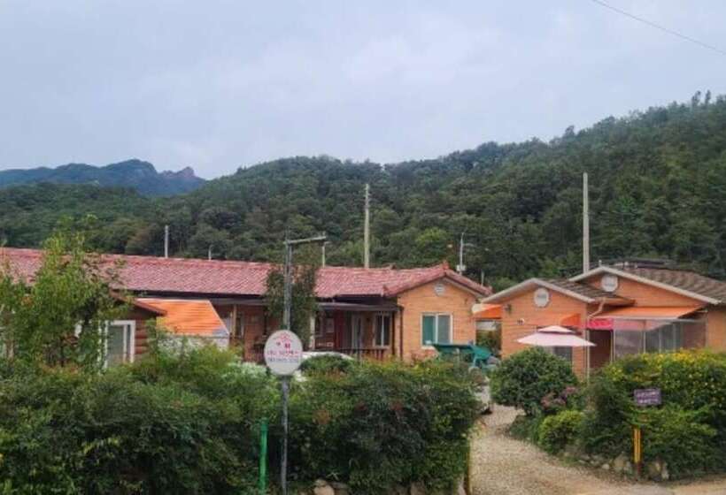 Damyang Lara 345 Pension