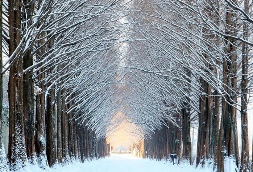 Damyang Pulkkot Pension