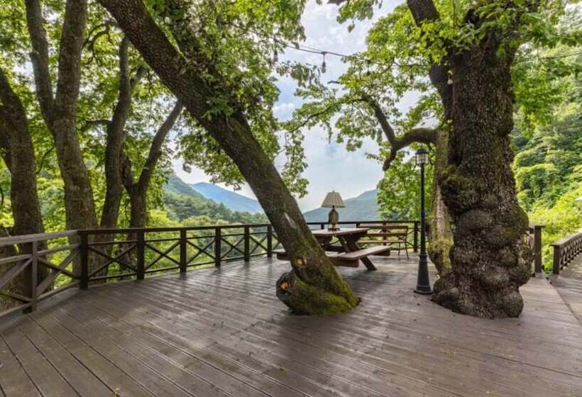 Danyang Pulkkotnamu Pension