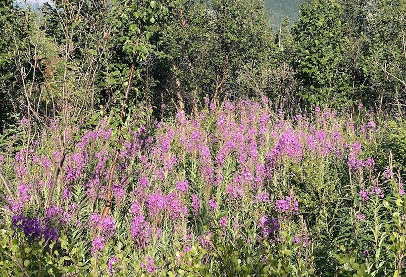 Denali Rv Park And Motel