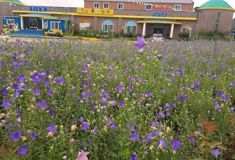 Gangjin Jeulgeounga Pension