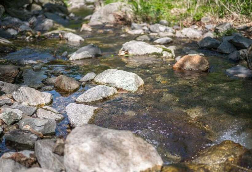 Gapyeong Blueberry Hill Pension