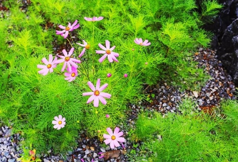 Gapyeong Provence Pension