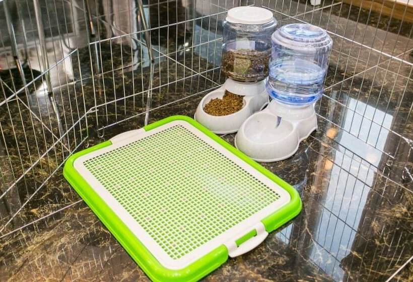 Gapyeong Solga Pension