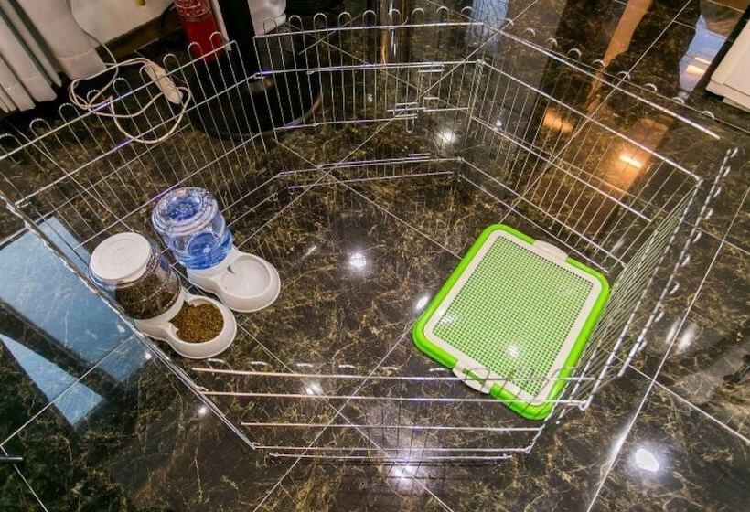 Gapyeong Solga Pension