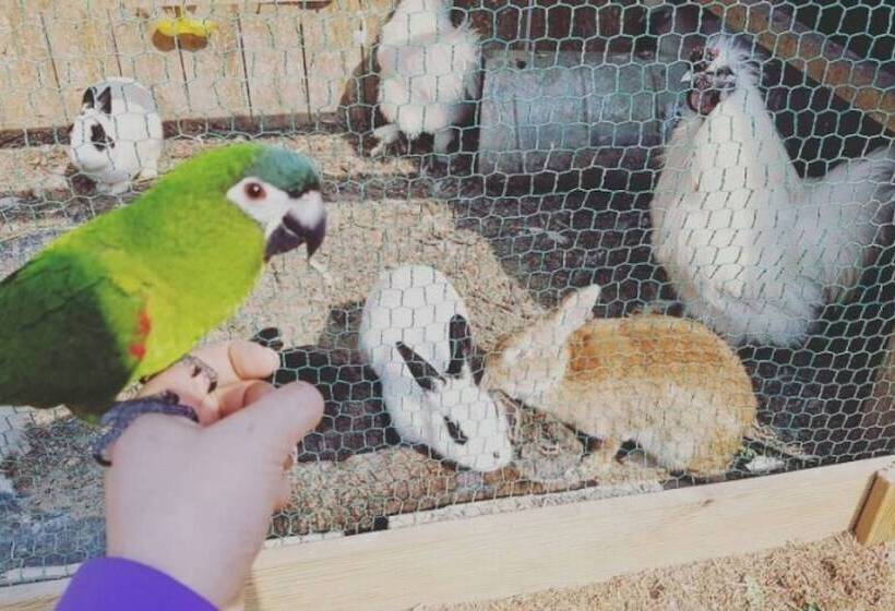 Geoje Jeongdeulgo Pension