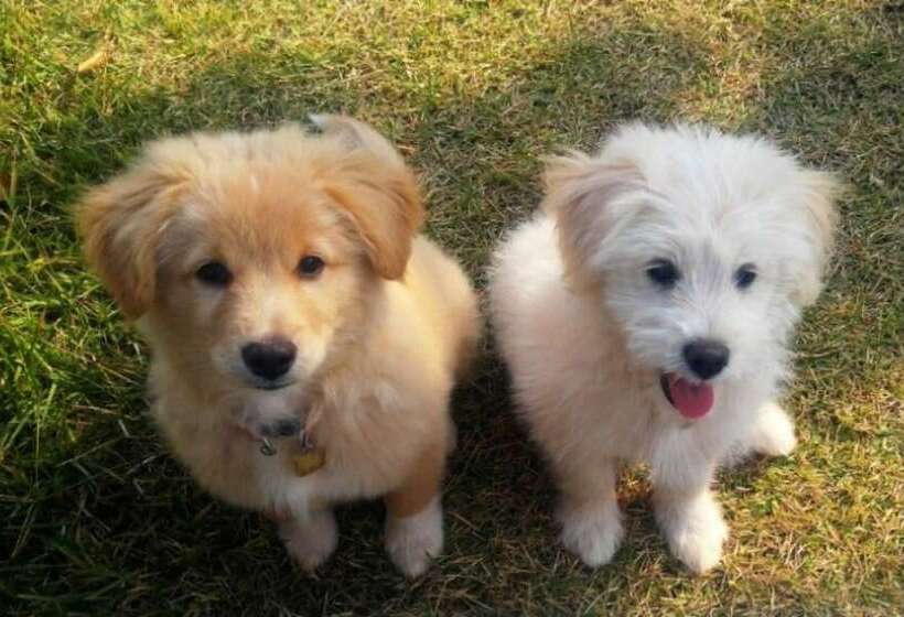 Geoje Jeongdeulgo Pension