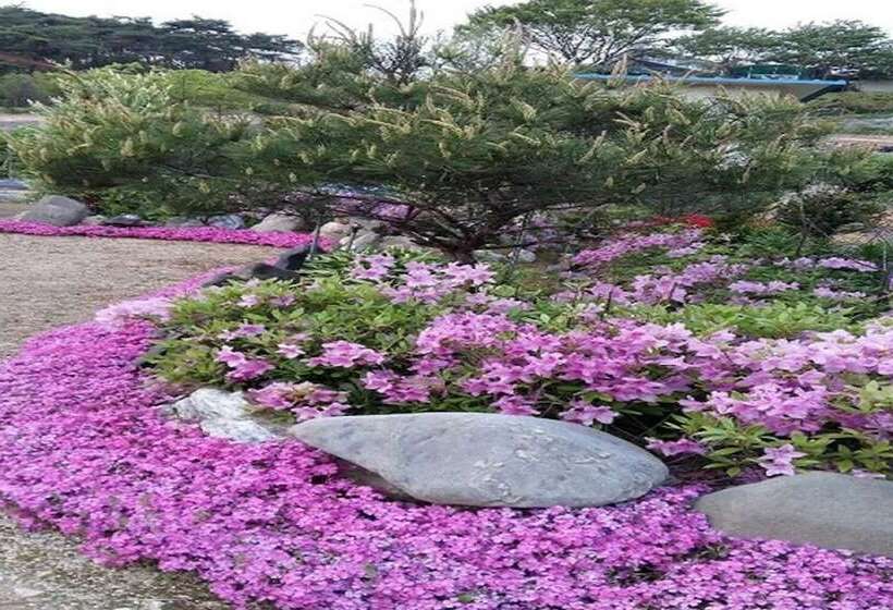 Goesan Banditbul Family Pension