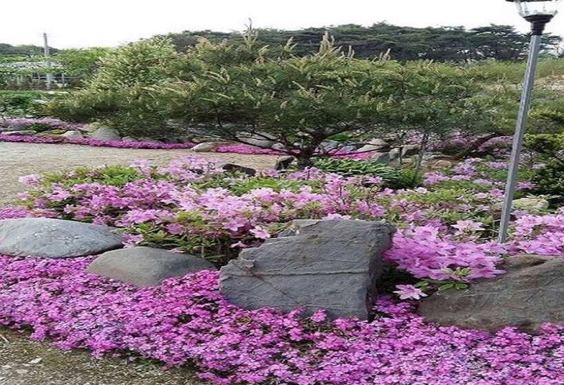 Goesan Banditbul Family Pension