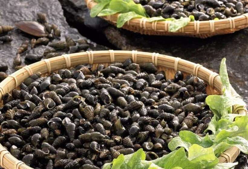 Goheung Naro In Byeolbit Pension