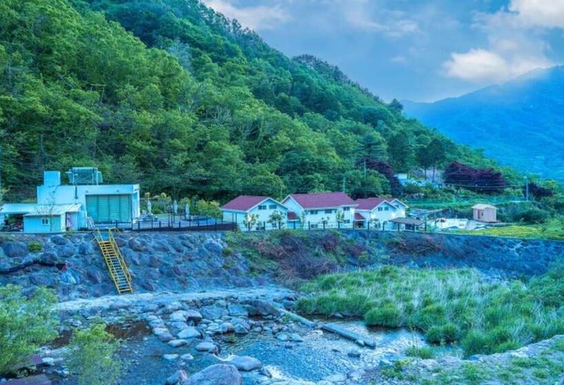 Hedong Alphs Dh Pension