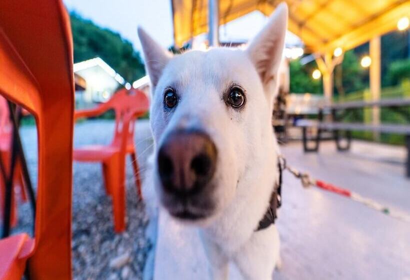 Hongcheon Daebakine Pension