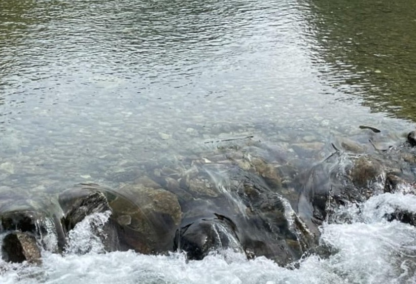 Hongcheon Eorinwangja Pension