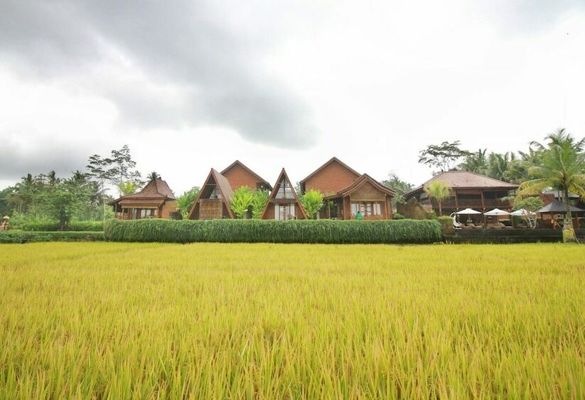 בית מלון כפרי Alam Kawi Ubud Resort & Spa