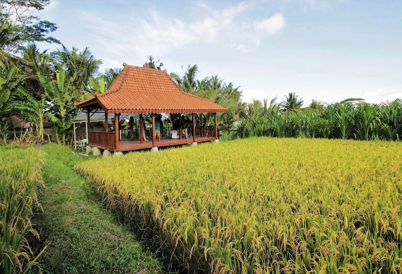 בית מלון כפרי Alam Kawi Ubud Resort & Spa