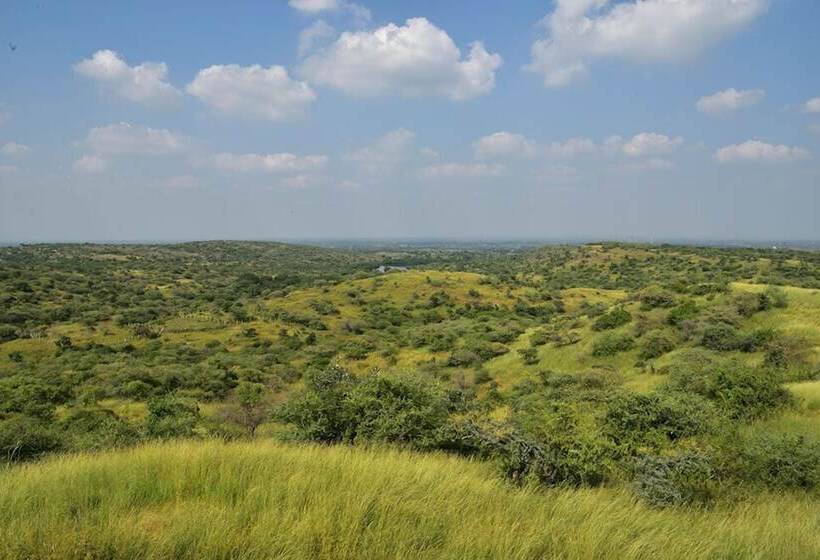 فندق Aramness Gir National Park