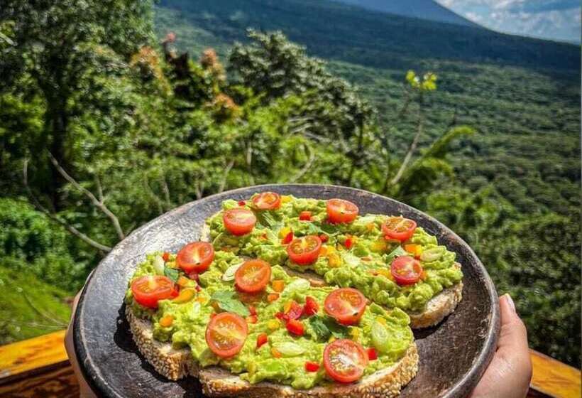 فندق Casa 1800 Los Naranjos Boutique