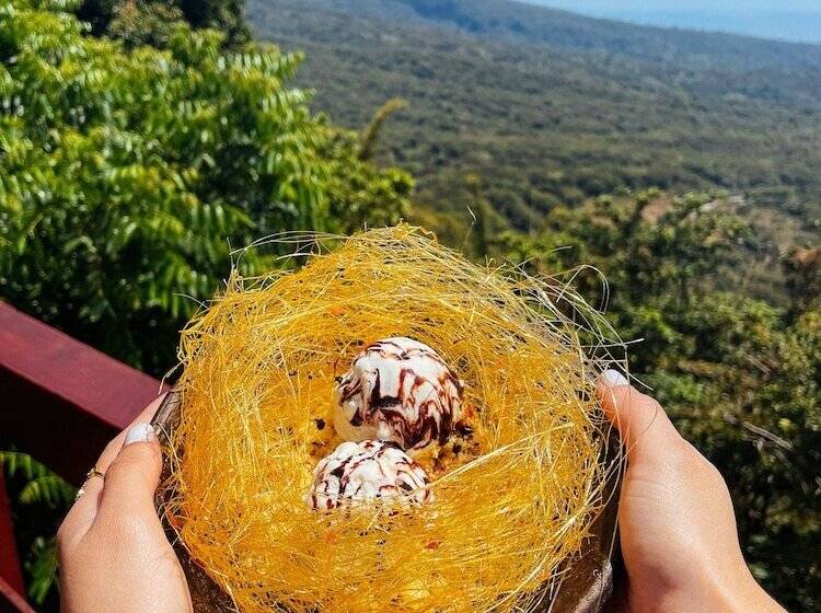 فندق Casa 1800 Los Naranjos Boutique