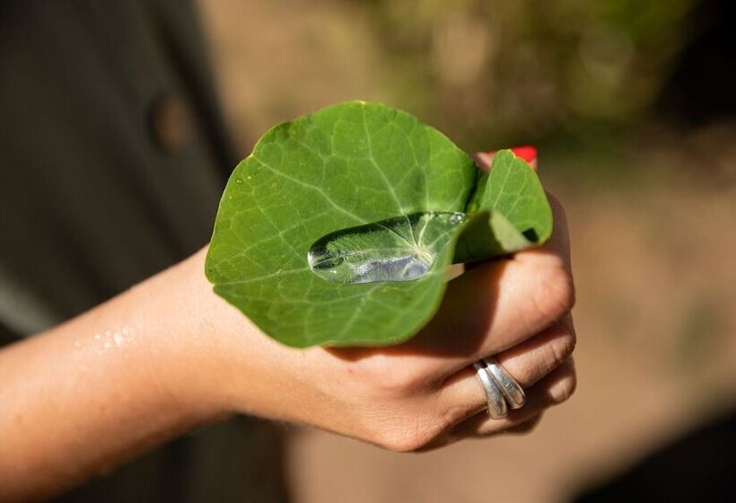 בית מלון כפרי Ciêla, Lusaka, A Tribute Portfolio Resort And Spa