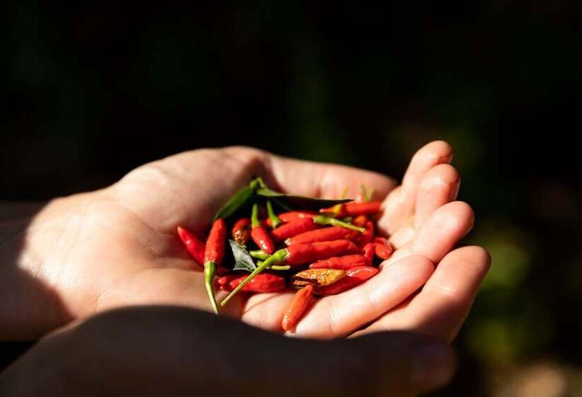 בית מלון כפרי Ciêla, Lusaka, A Tribute Portfolio Resort And Spa