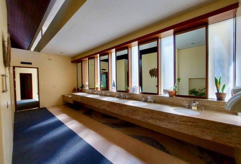 בית מלון כפרי Cocoons Casobe