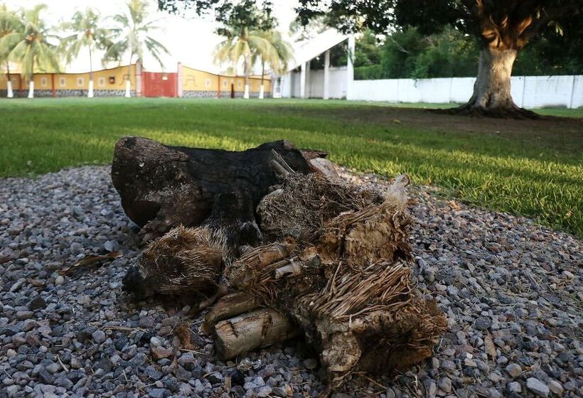 호텔 Hf Hacienda San Francisco