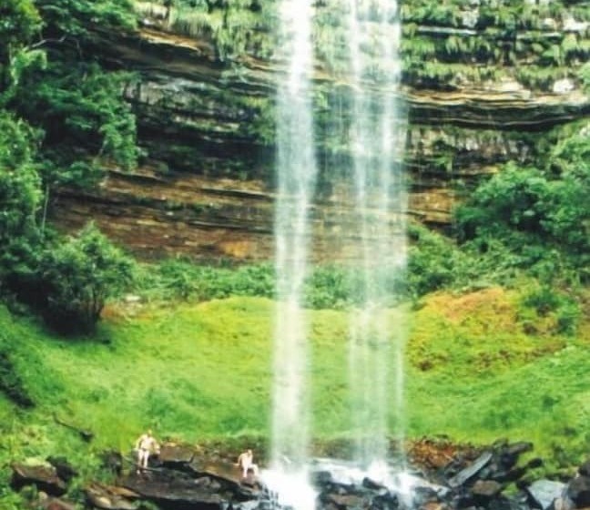 호텔 Palace Avenida