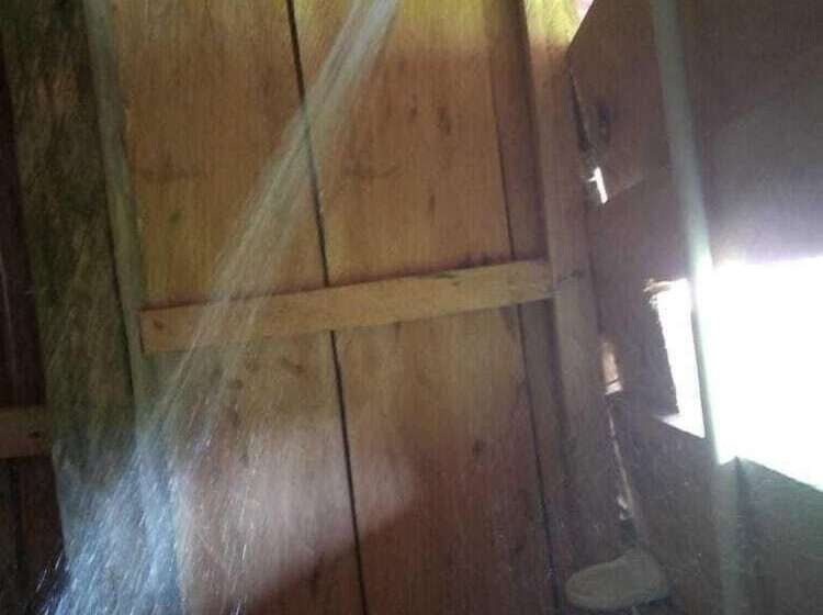 בית מלון כפרי Posada Ecoturística Chachita