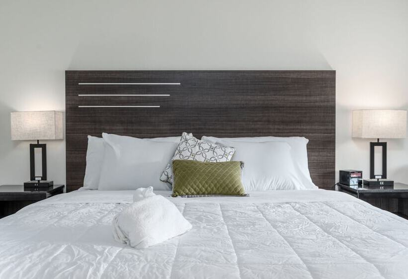 فندق Crewe Boutique Inn