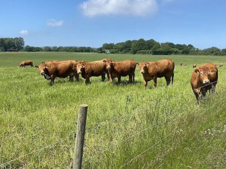 호텔 Villa Brunnby