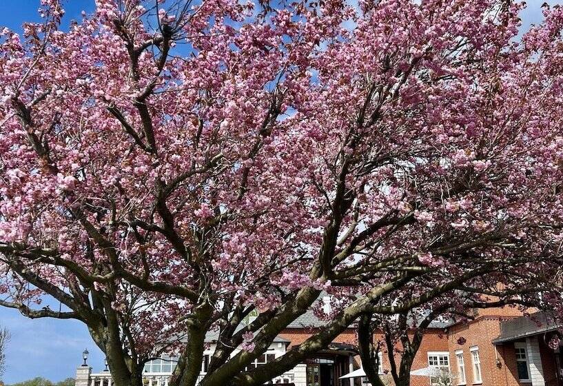 فندق Villa Brunnby