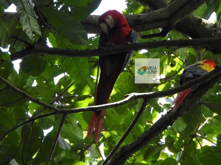 ホテル Villas Azul