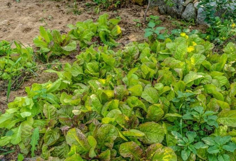 Hwacheon Flower Pension