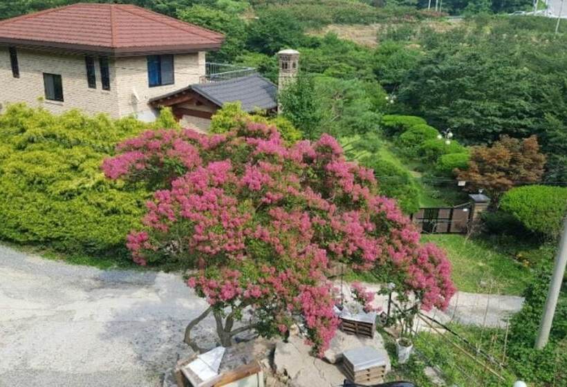 Jangseong Baegilhong Pension