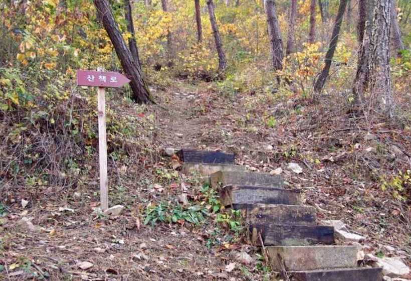 Jecheon Montmartre Pension