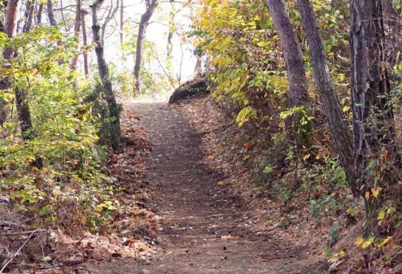 Jecheon Montmartre Pension