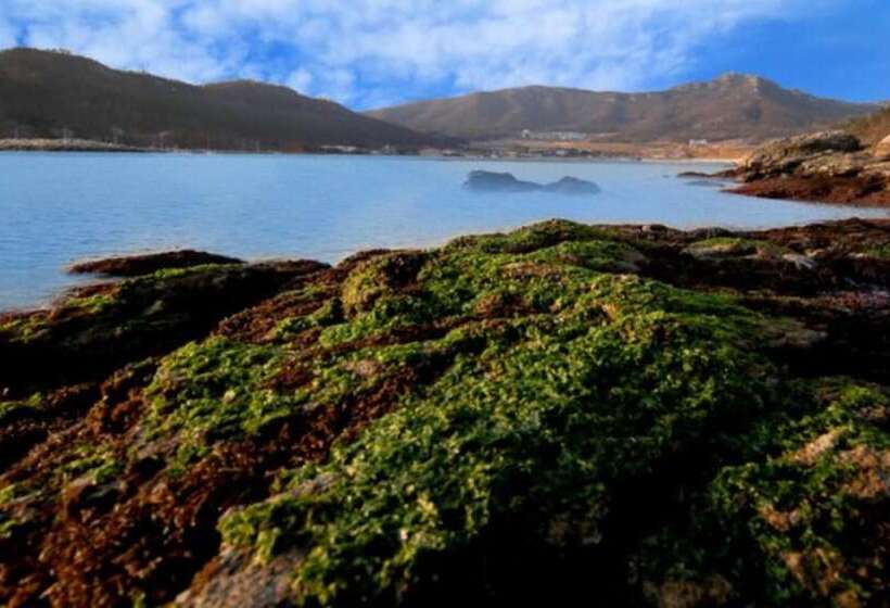 Jindo Arirang Beach Pension