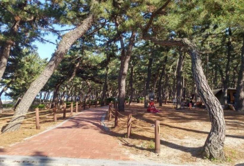 Gangneung Karis Pension