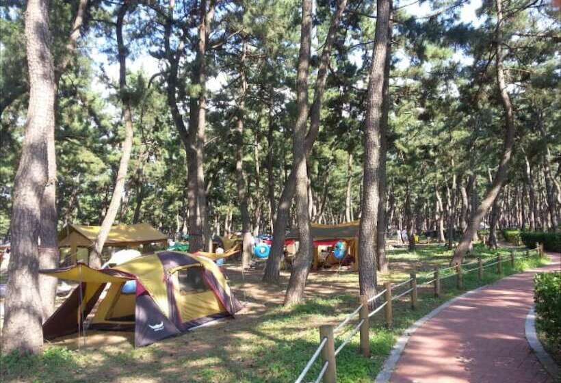 Gangneung Karis Pension