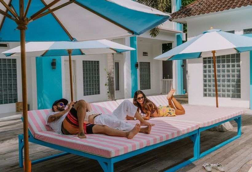 Mad Monkey Kuta Lombok   Hostel