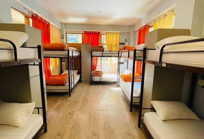 Madpackers Jibhi   Hostel