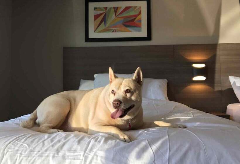 فندق على الطريق The Elmwood