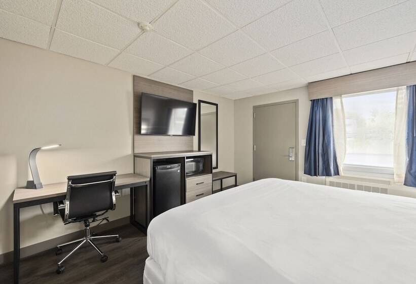 فندق على الطريق The Elmwood