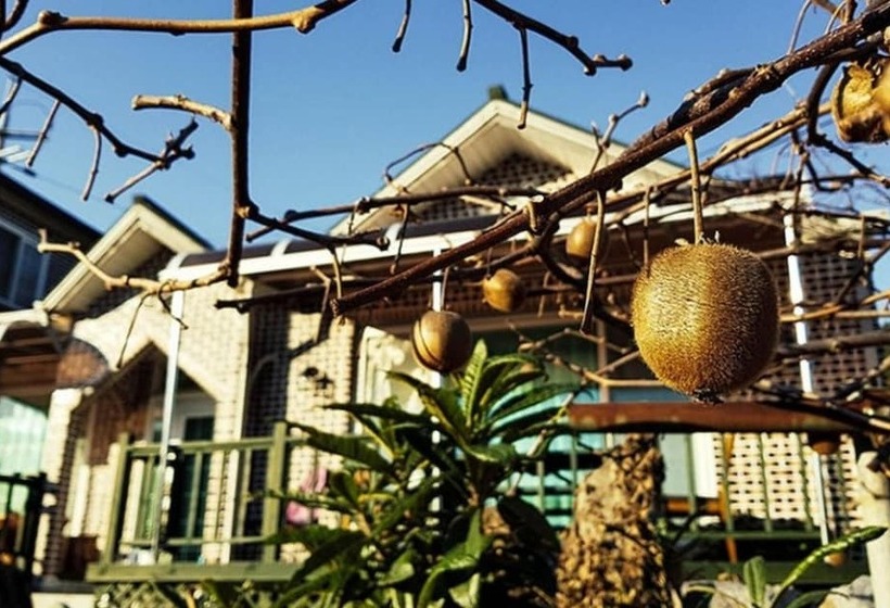 Namhae Balunsup Pension