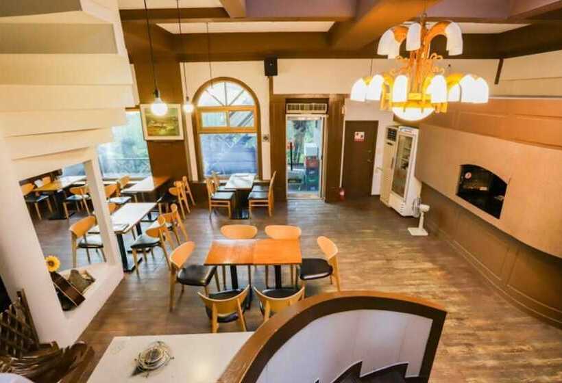 Namhae Viking Pension