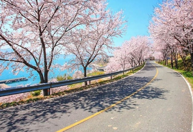 Namhae Zen House Pension