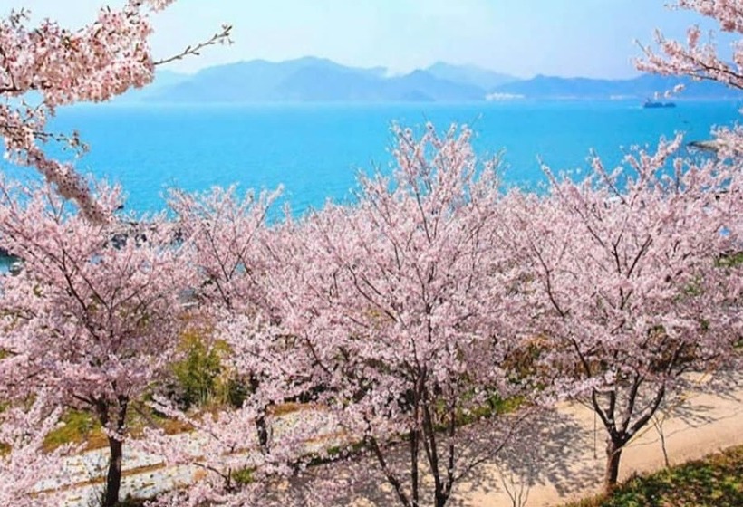 Namhae Zen House Pension