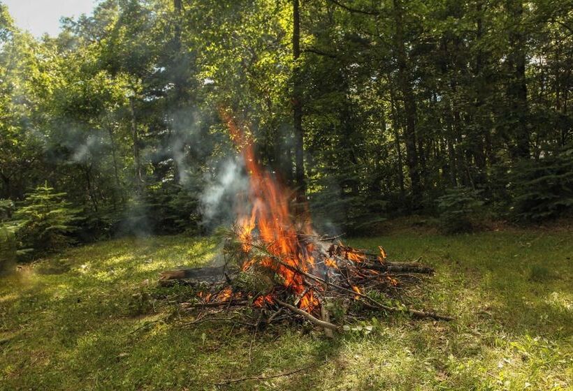 Our Wielgot Tradition